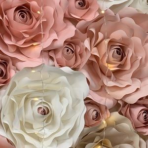 Meet your Posher, Caitlyn